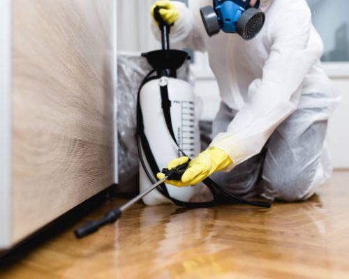 Woman exterminator in work wear spraying pesticide or insecticide with sprayer